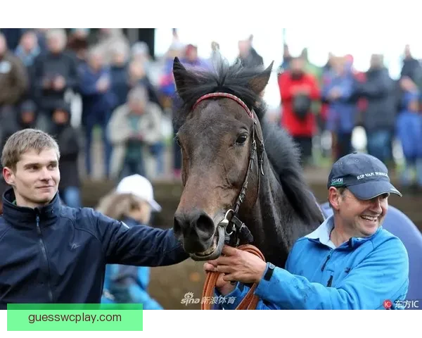 激情巅峰对决世界杯决赛燃情瞬间全景回顾